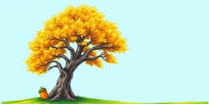 El Método de Warren Buffett: Principios para Invertir